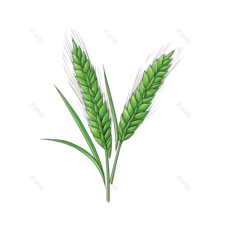 装饰图片,芒种元素,元素PNG,小满免抠素材